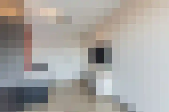 Witte de Withstraat 21 Geldrop thumbnail 16