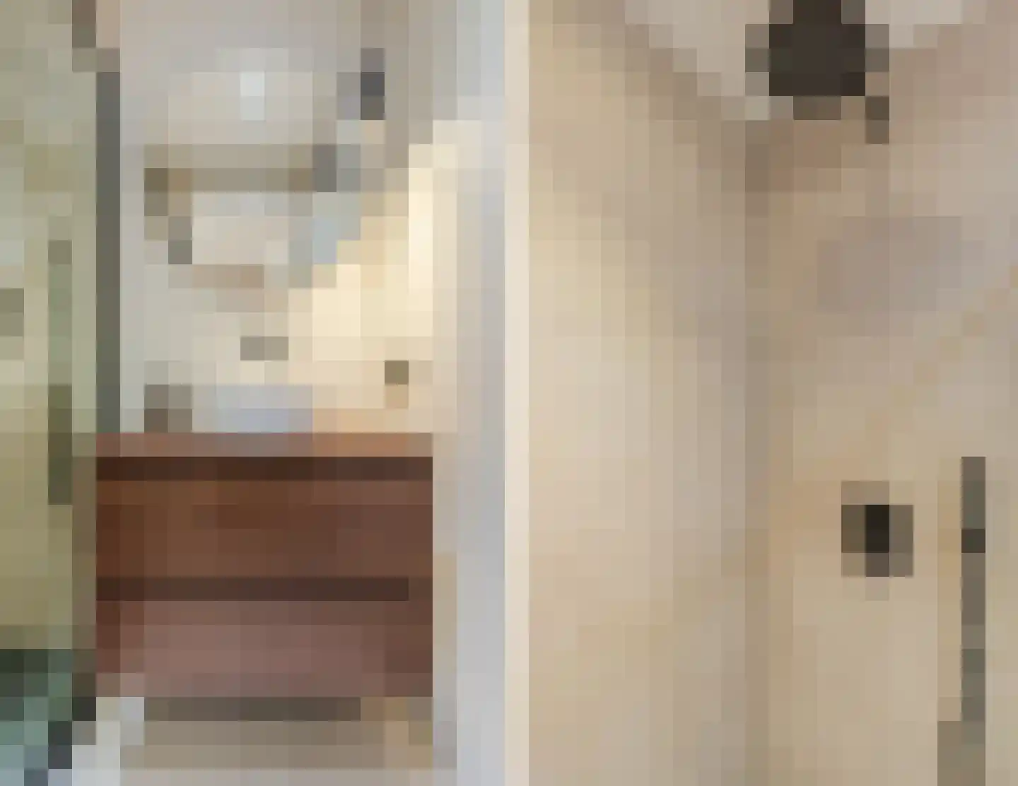 Witte de Withstraat 21 Geldrop thumbnail 17