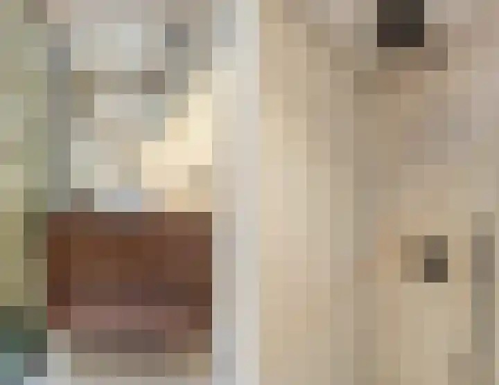Witte de Withstraat 21 Geldrop thumbnail 17