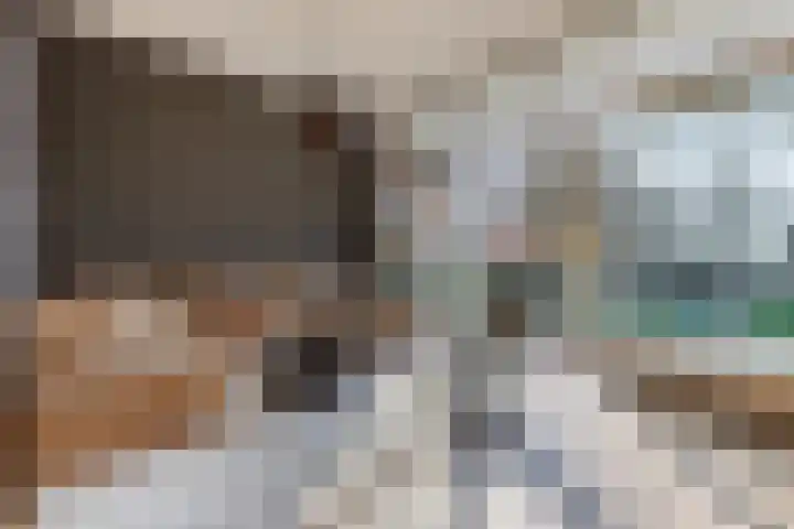 Witte de Withstraat 21 Geldrop thumbnail 18
