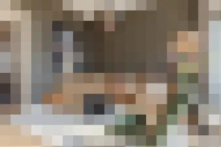 Witte de Withstraat 21 Geldrop thumbnail 19