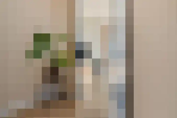 Witte de Withstraat 21 Geldrop thumbnail 28