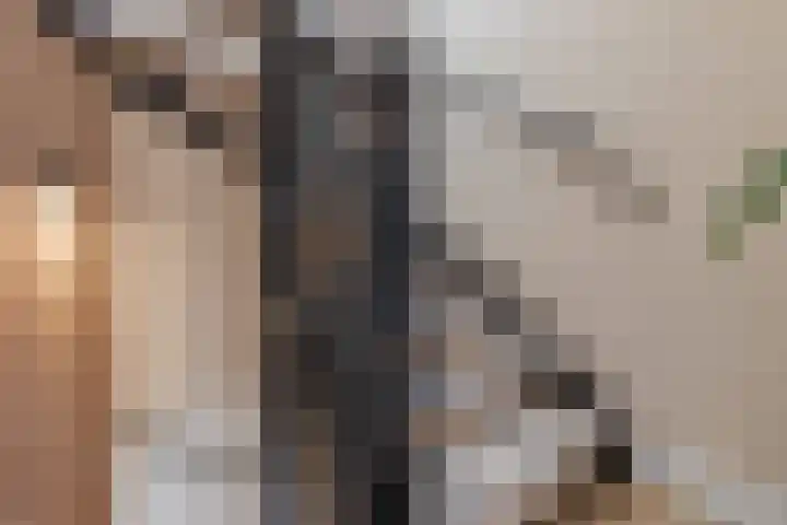 Witte de Withstraat 21 Geldrop thumbnail 29