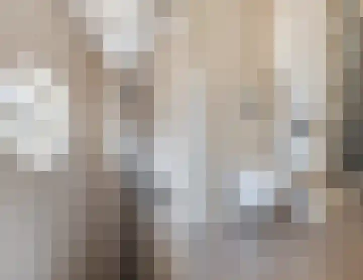 Witte de Withstraat 21 Geldrop thumbnail 36