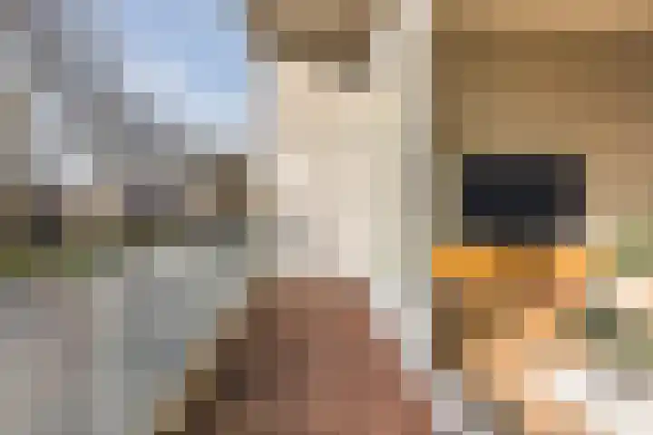 Witte de Withstraat 21 Geldrop thumbnail 38