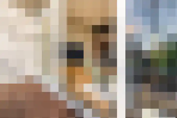 Witte de Withstraat 21 Geldrop thumbnail 40