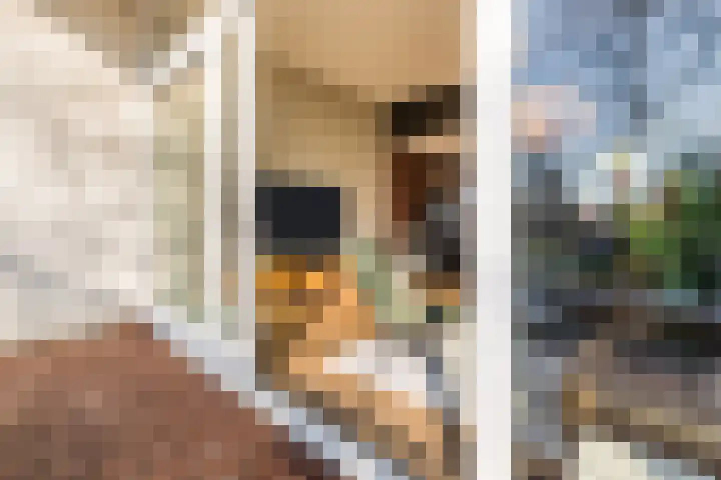 Witte de Withstraat 21 Geldrop thumbnail 40