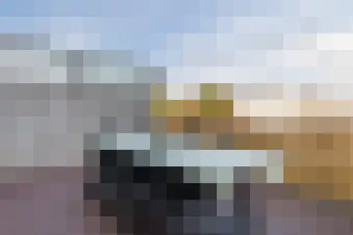 Witte de Withstraat 21 Geldrop thumbnail 41