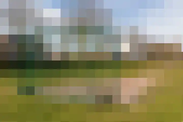 Witte de Withstraat 21 Geldrop thumbnail 48