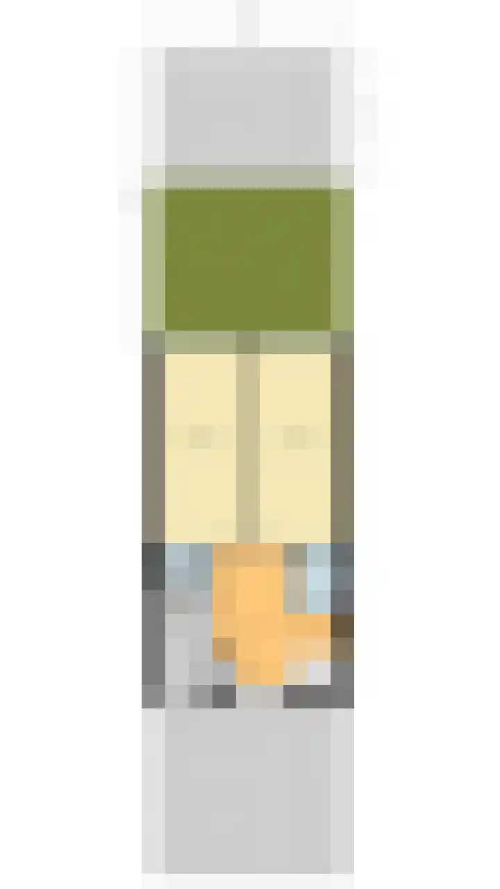 Witte de Withstraat 21 Geldrop thumbnail 53
