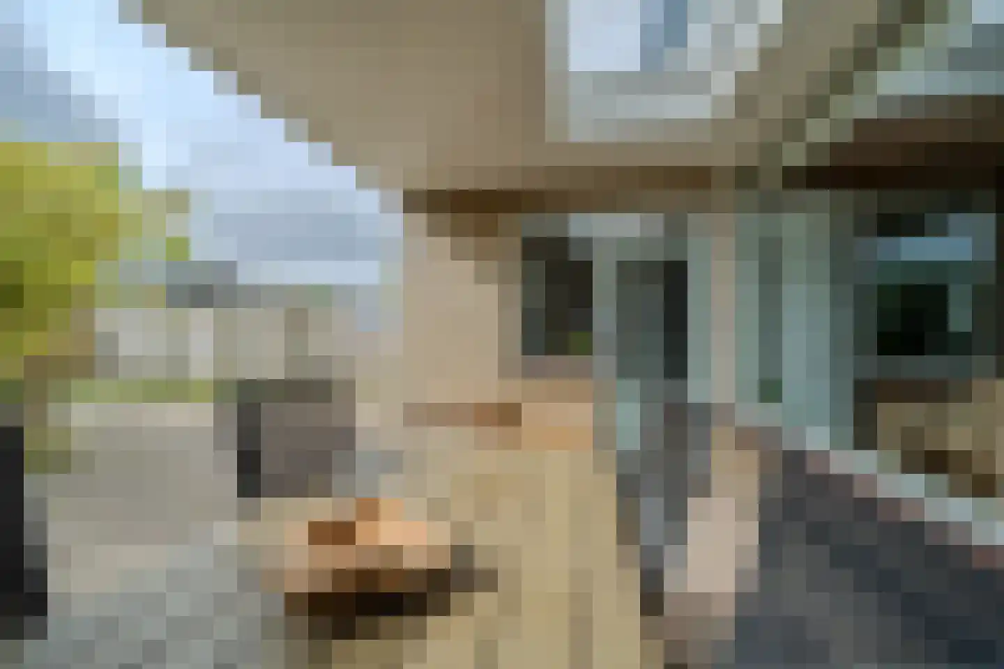 Witte de Withstraat 23 Best thumbnail 16