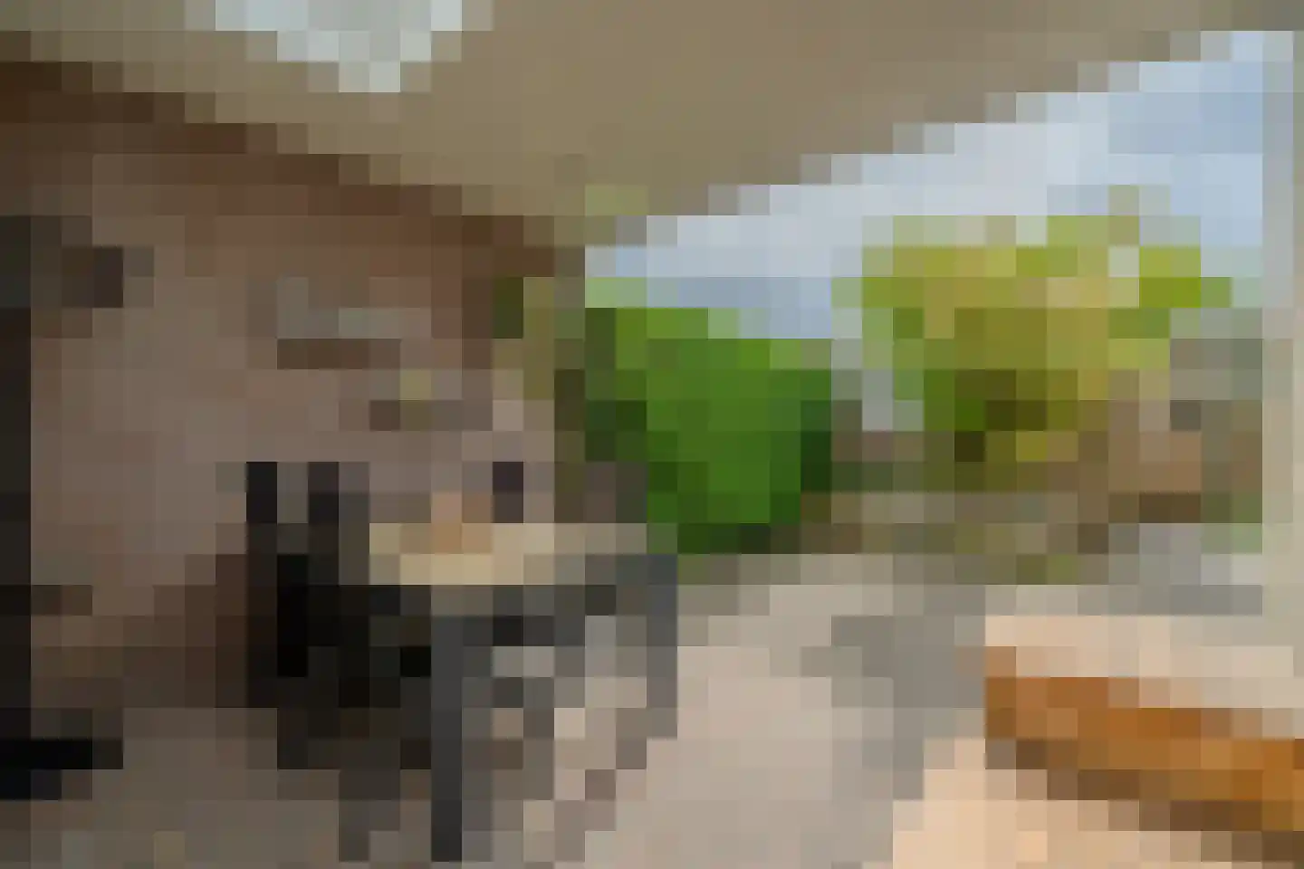 Witte de Withstraat 23 Best thumbnail 4