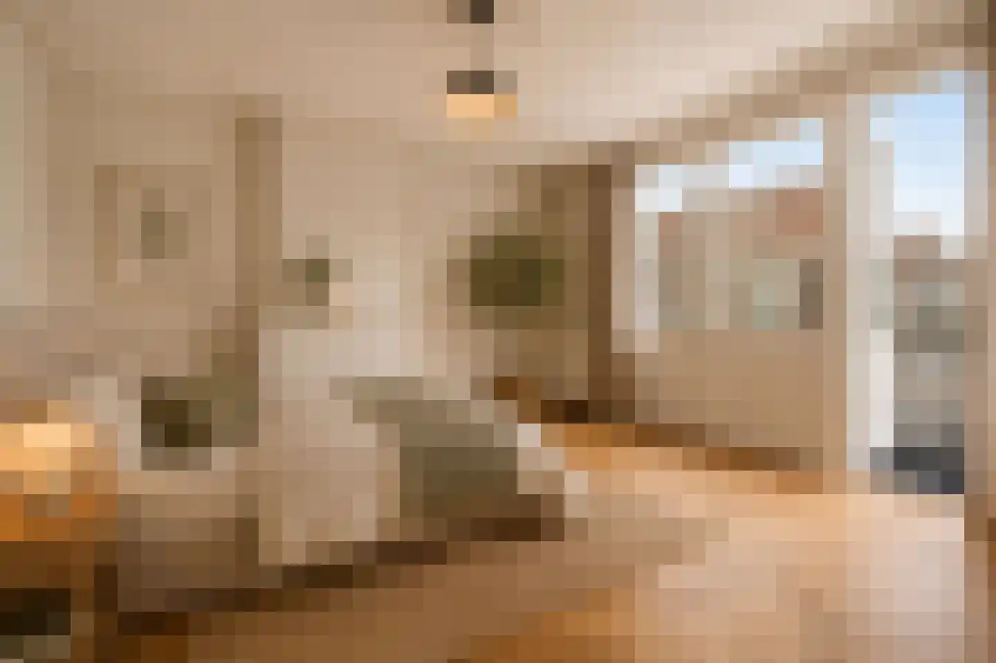 Witte de Withstraat 24 Den Haag thumbnail 10
