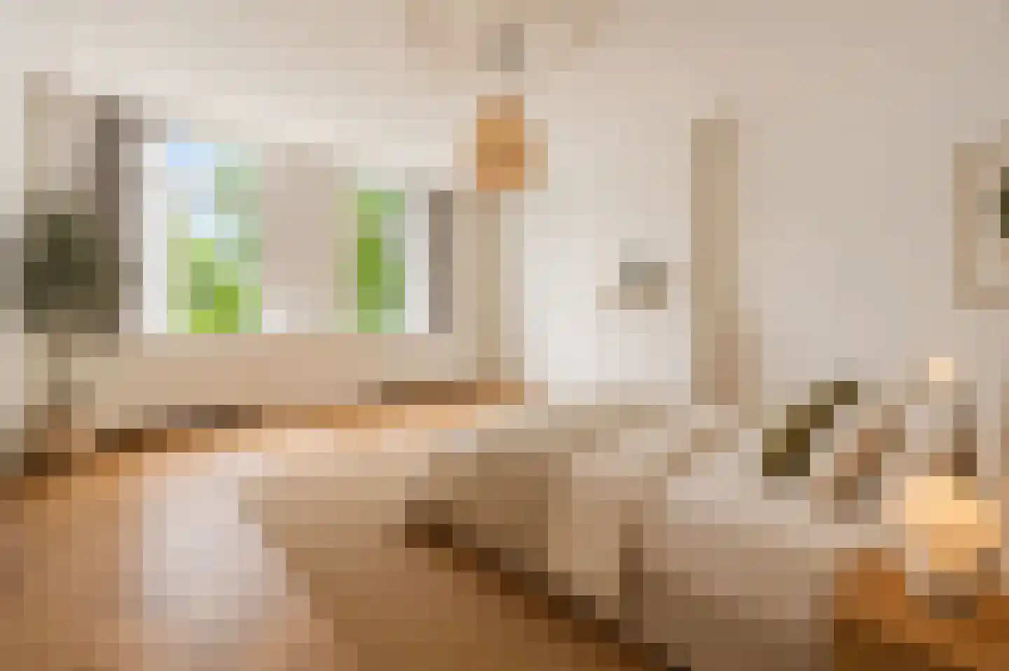 Witte de Withstraat 24 Den Haag thumbnail 13
