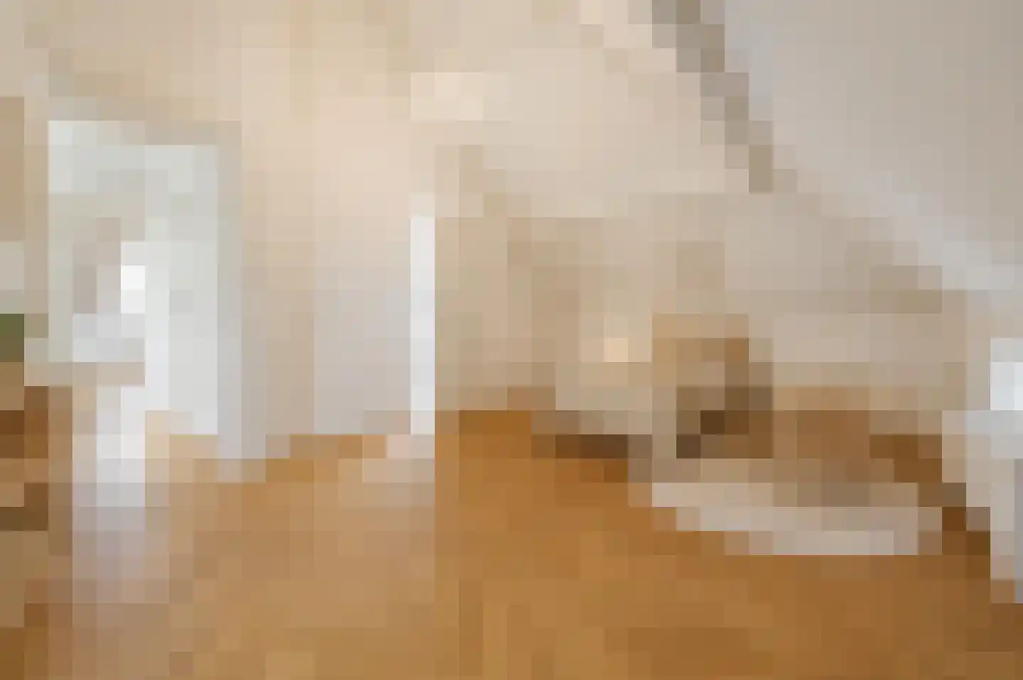 Witte de Withstraat 24 Den Haag thumbnail 22