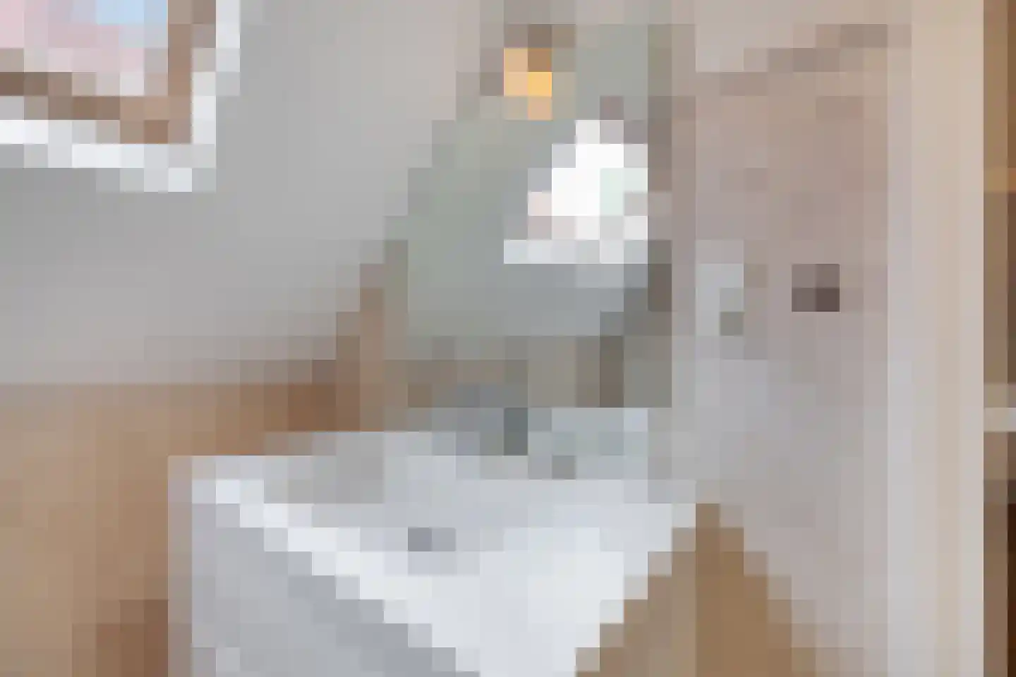 Witte de Withstraat 24 Den Haag thumbnail 27