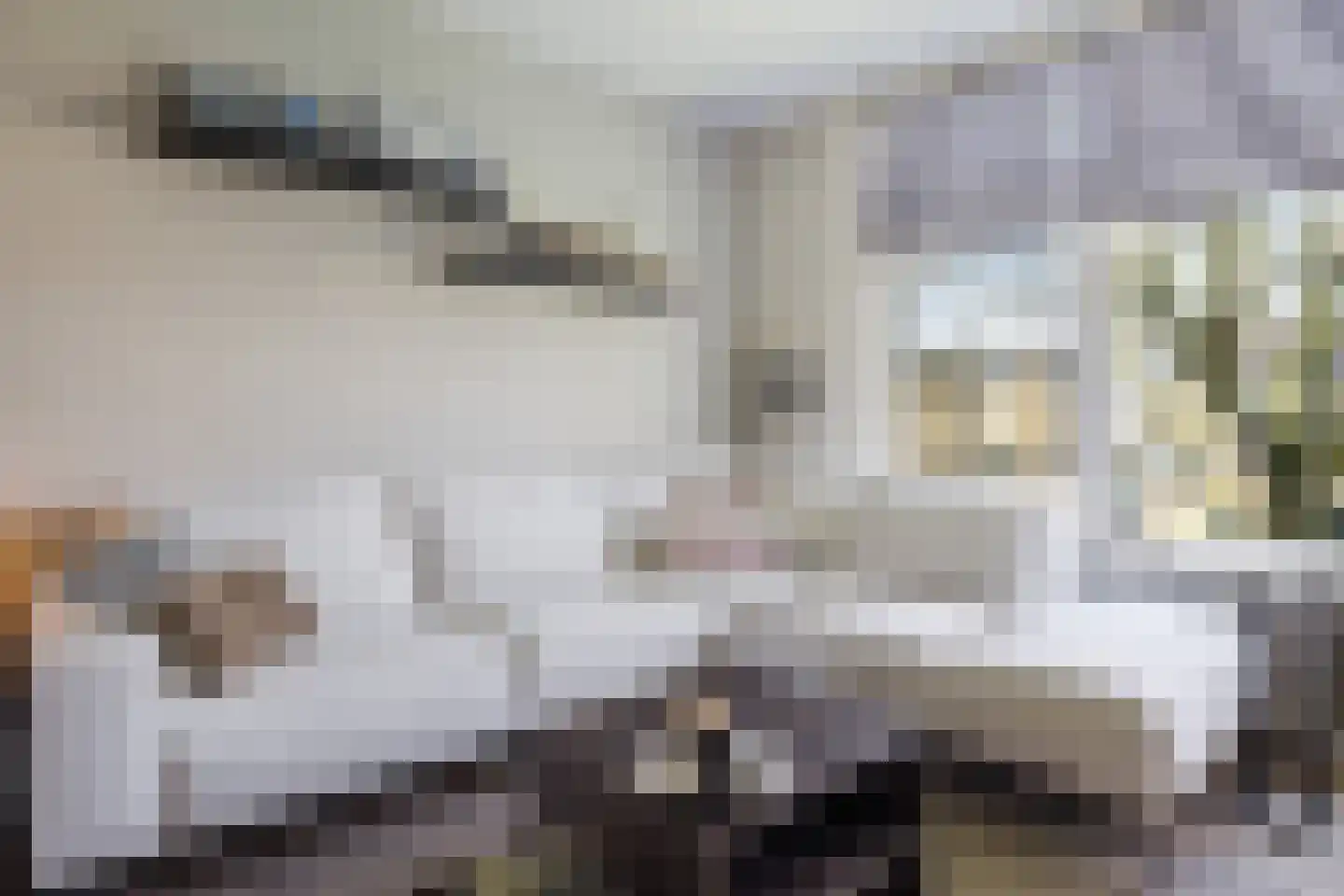 Witte de Withstraat 24 Papendrecht thumbnail 10