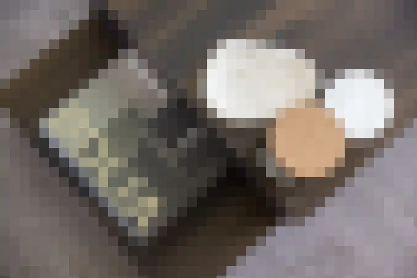Witte de Withstraat 24 Papendrecht thumbnail 11