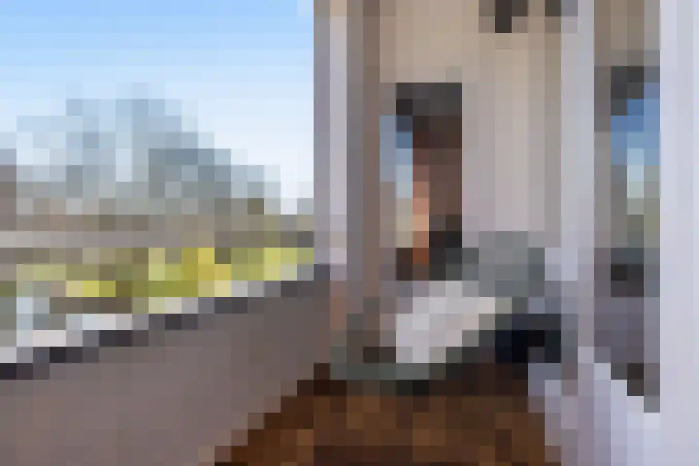 Witte de Withstraat 24 Papendrecht thumbnail 20