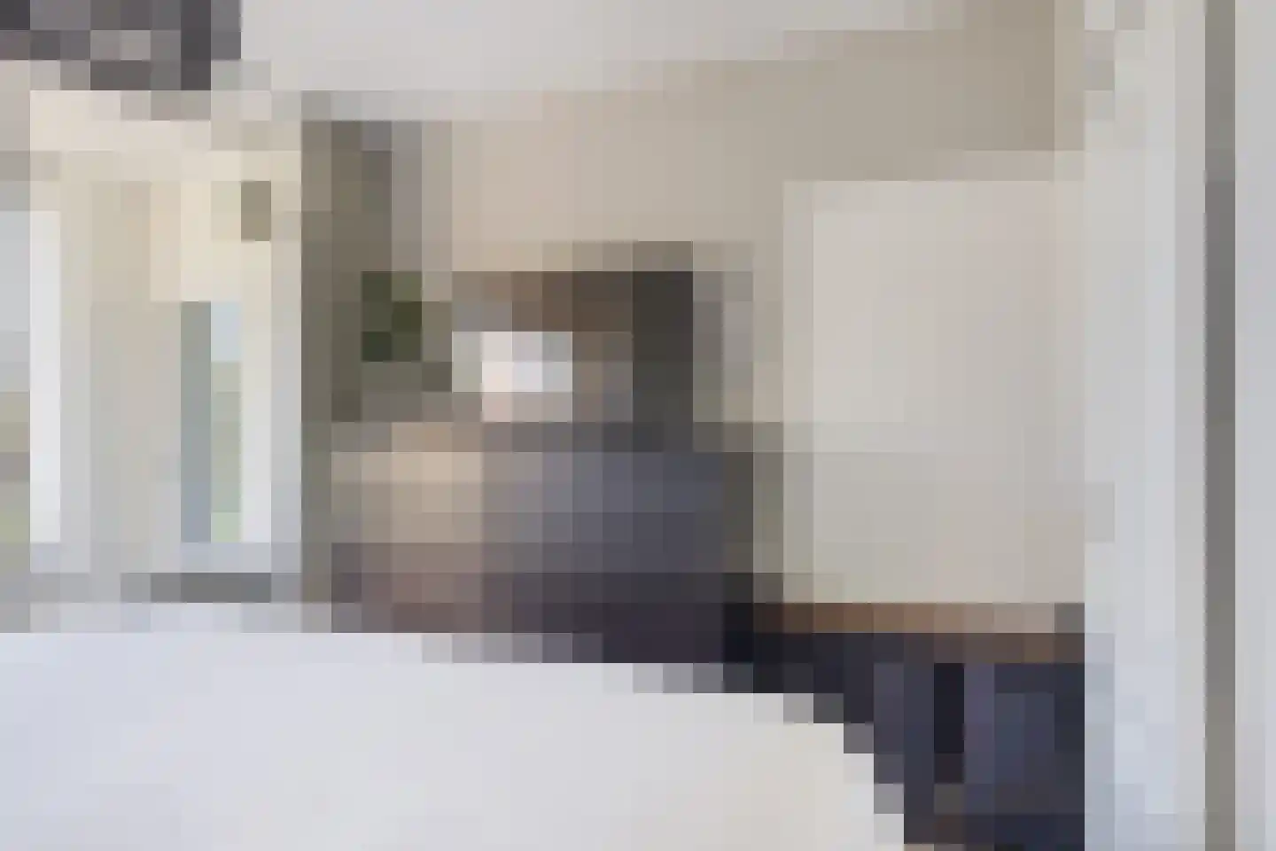 Witte de Withstraat 24 Papendrecht thumbnail 23