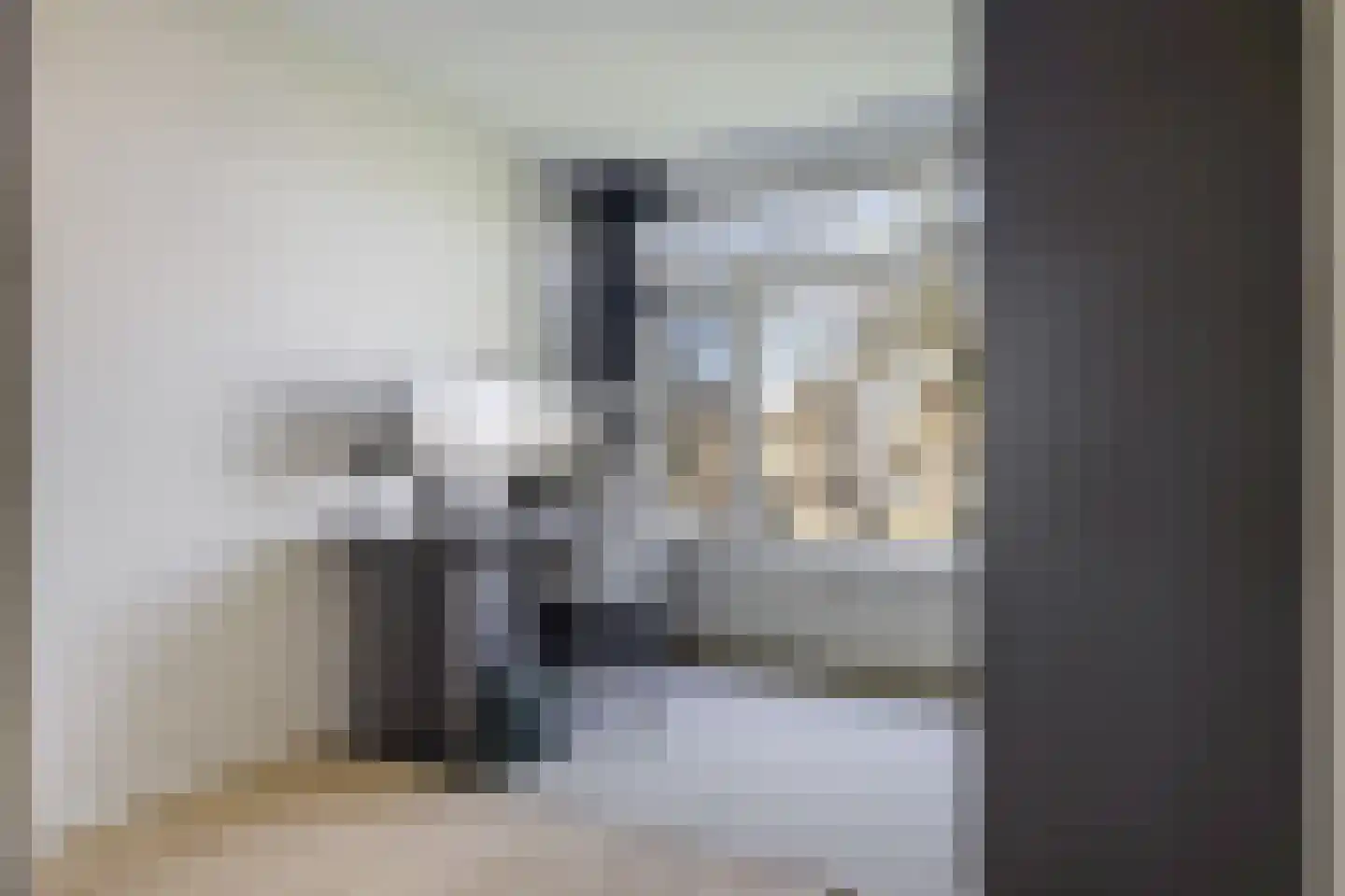Witte de Withstraat 24 Papendrecht thumbnail 25