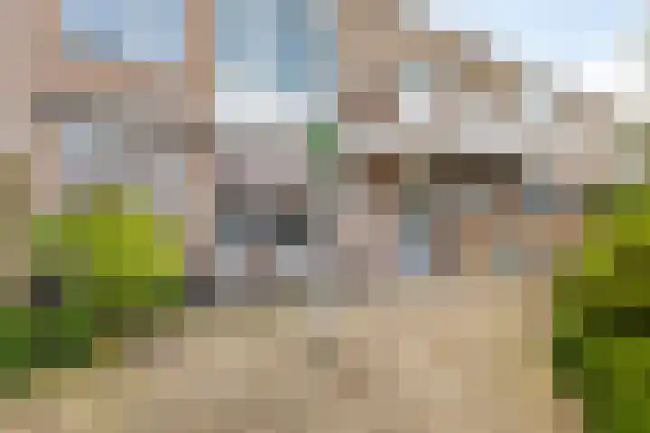 Witte de Withstraat 25 Alphen aan den Rijn thumbnail 26