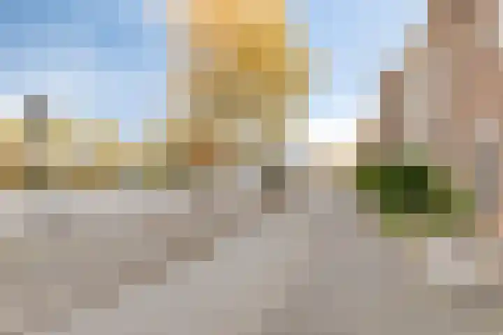 Witte de Withstraat 25 Alphen aan den Rijn thumbnail 29