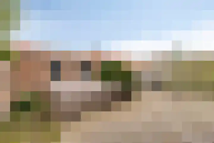 Witte de Withstraat 25 Alphen aan den Rijn thumbnail 4