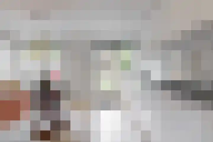 Witte de Withstraat 25 Huizen thumbnail 10