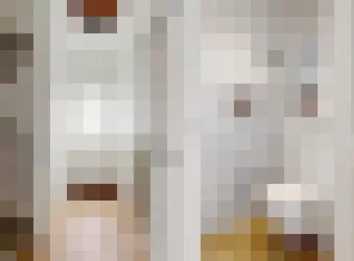 Witte de Withstraat 25 Huizen thumbnail 12