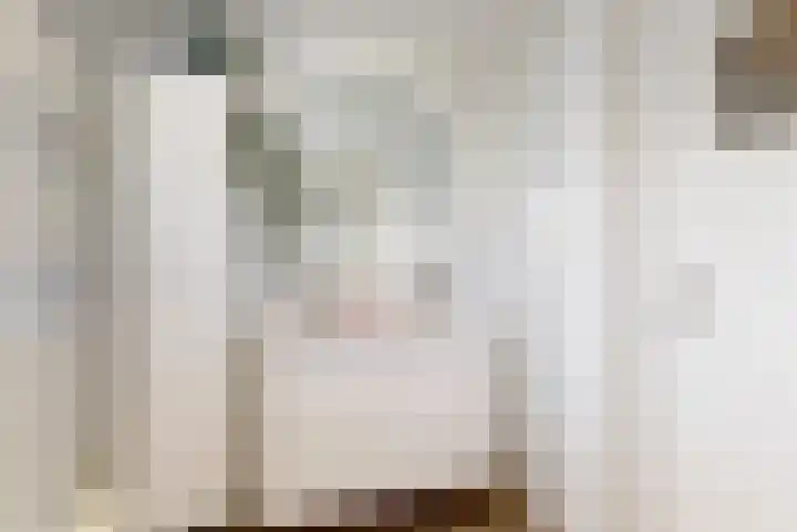Witte de Withstraat 25 Huizen thumbnail 18
