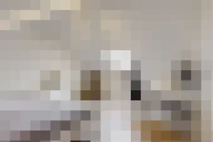 Witte de Withstraat 25 Huizen thumbnail 23