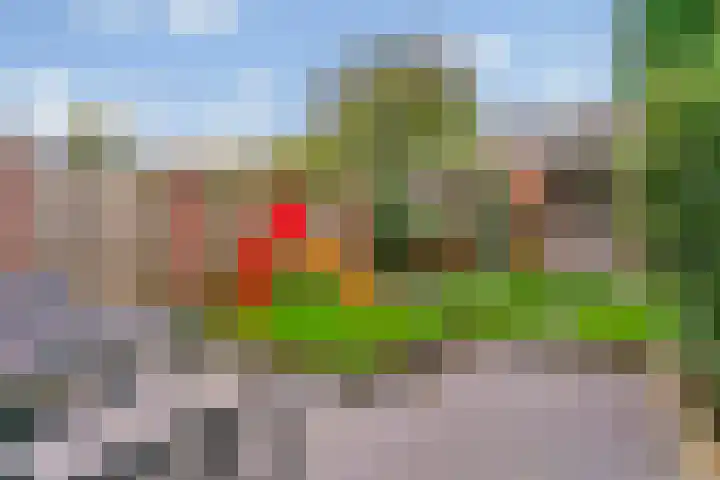 Witte de Withstraat 25 Huizen thumbnail 25
