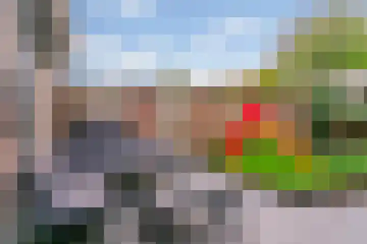 Witte de Withstraat 25 Huizen thumbnail 26