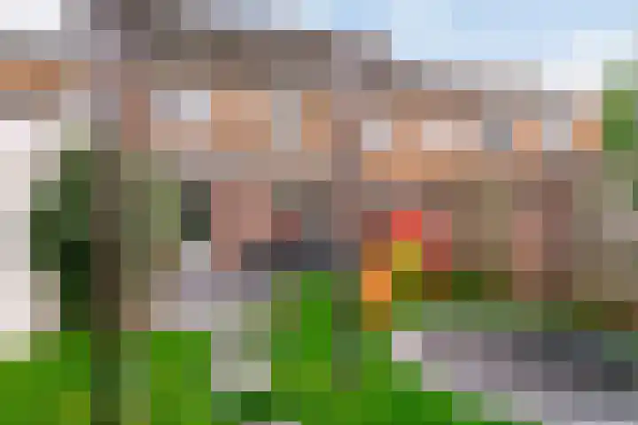 Witte de Withstraat 25 Huizen thumbnail 27