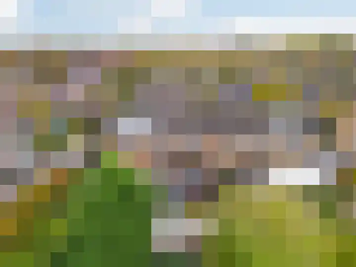 Witte de Withstraat 25 Huizen thumbnail 29