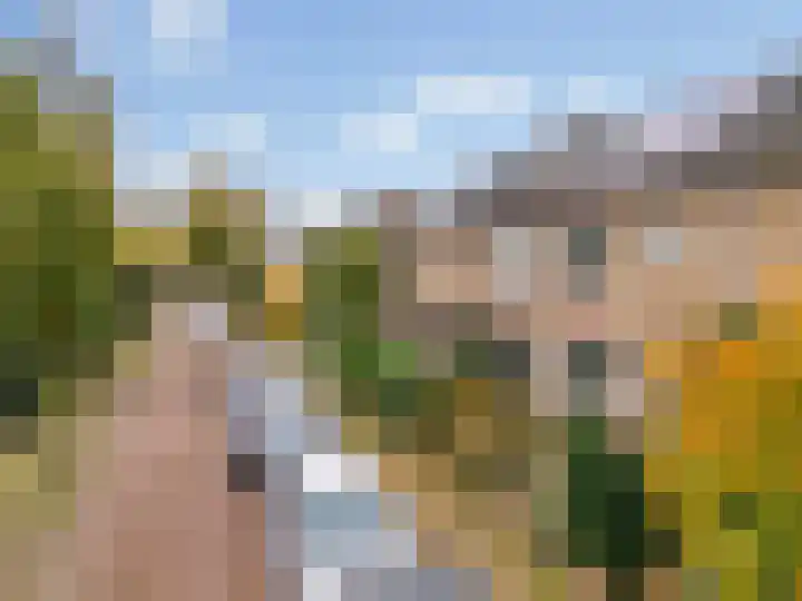 Witte de Withstraat 25 Huizen thumbnail 34
