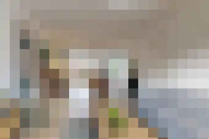 Witte de Withstraat 25 Huizen thumbnail 4