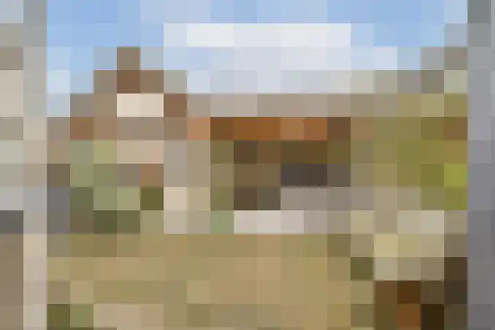 Witte de Withstraat 26 Hendrik-Ido-Ambacht thumbnail 4