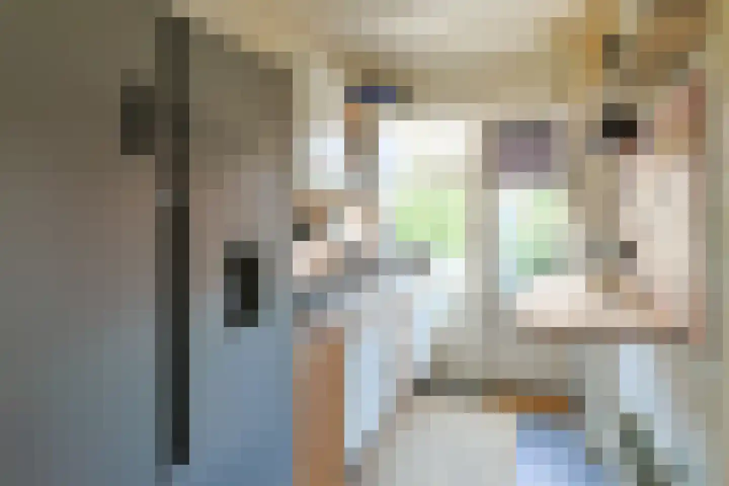 Witte de Withstraat 27 Alphen aan den Rijn thumbnail 20