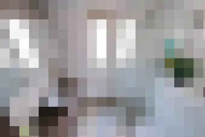 Witte de Withstraat 27 Ede thumbnail 17