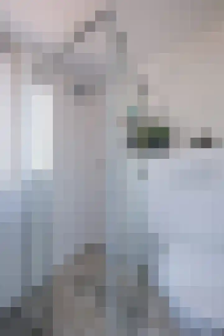 Witte de Withstraat 27 Ede thumbnail 19