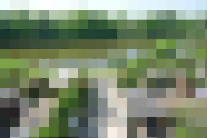 Witte de Withstraat 27 Ede thumbnail 24