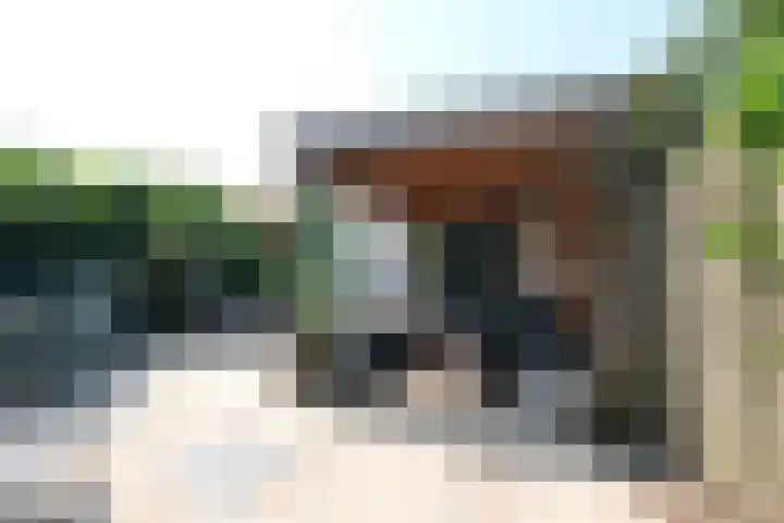 Witte de Withstraat 27 Ede thumbnail 26