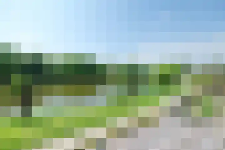 Witte de Withstraat 27 Ede thumbnail 28