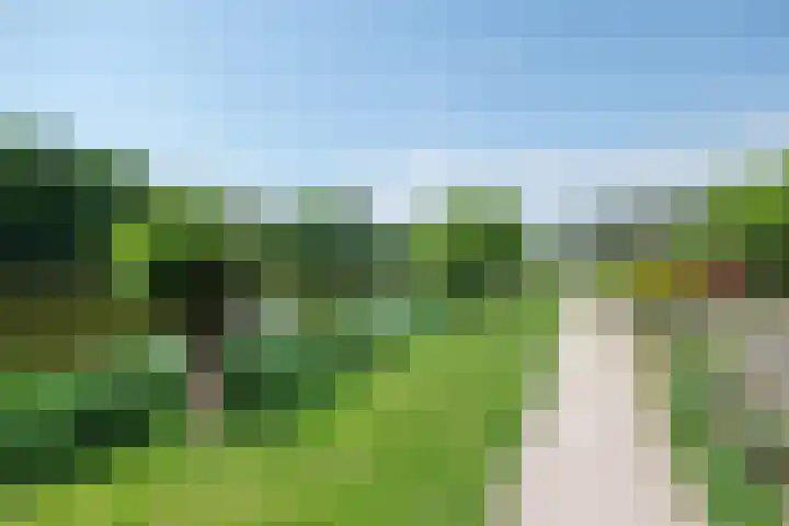 Witte de Withstraat 27 Ede thumbnail 29