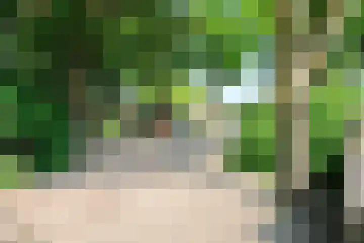 Witte de Withstraat 27 Ede thumbnail 30