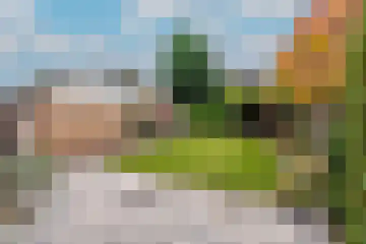 Witte de Withstraat 27 Huizen thumbnail 30