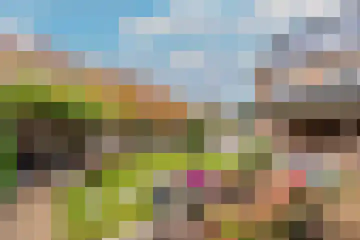 Witte de Withstraat 27 Huizen thumbnail 4