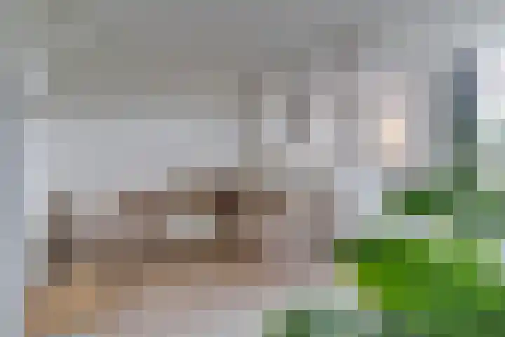 Witte de Withstraat 29 Amersfoort thumbnail 11